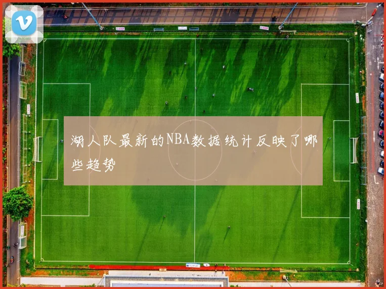 湖人队最新的NBA数据统计反映了哪些趋势